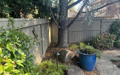 Why Proper Landscape Installation Helps Control Weeds